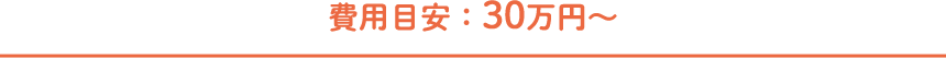 費用目安：30万円〜